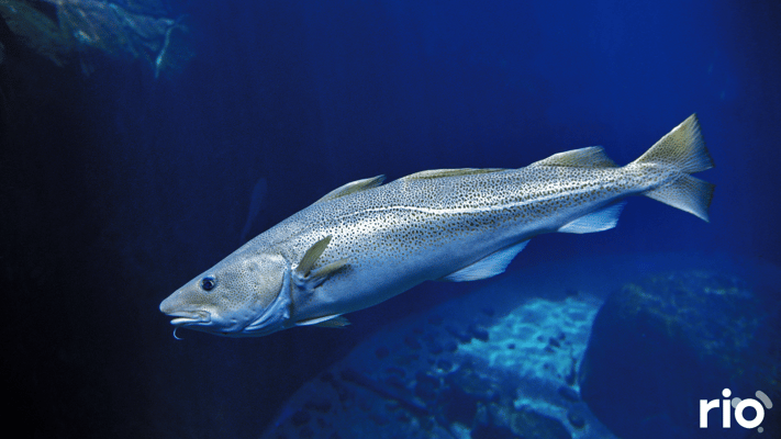 The Sustainability Data Catch-Up: What’s Actually Happened in 2025 (So Far)