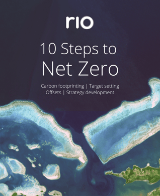 10 Steps to Net Zero