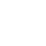 pledge to net zero