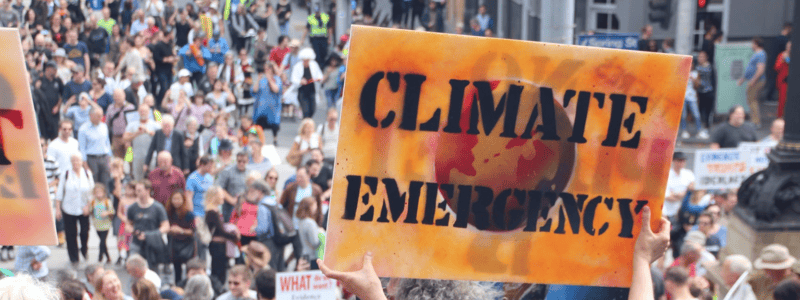 A case of ‘climate emergency’ or 'hit snooze for another 10 years’?