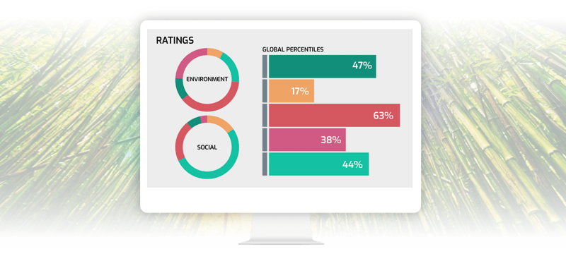 Your guide to ESG Ratings