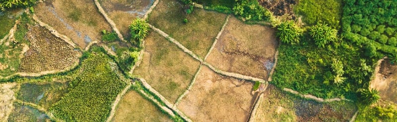 COP27: Adaptation and Agriculture Day