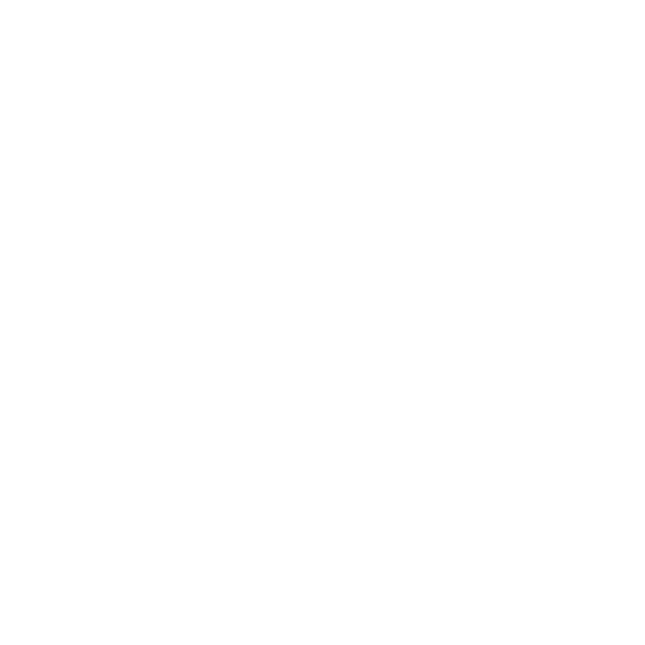 rio-icon-white-1