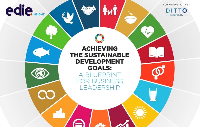 WHITEPAPER: Achieving the SDGs: A Blueprint for Business Leadership