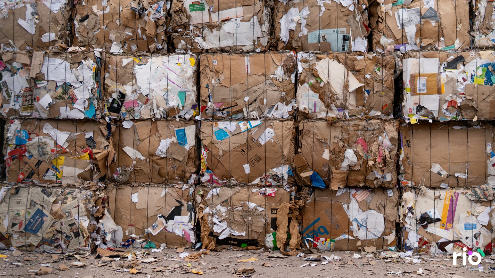 B Corp Just Raised the Bar on Climate Action