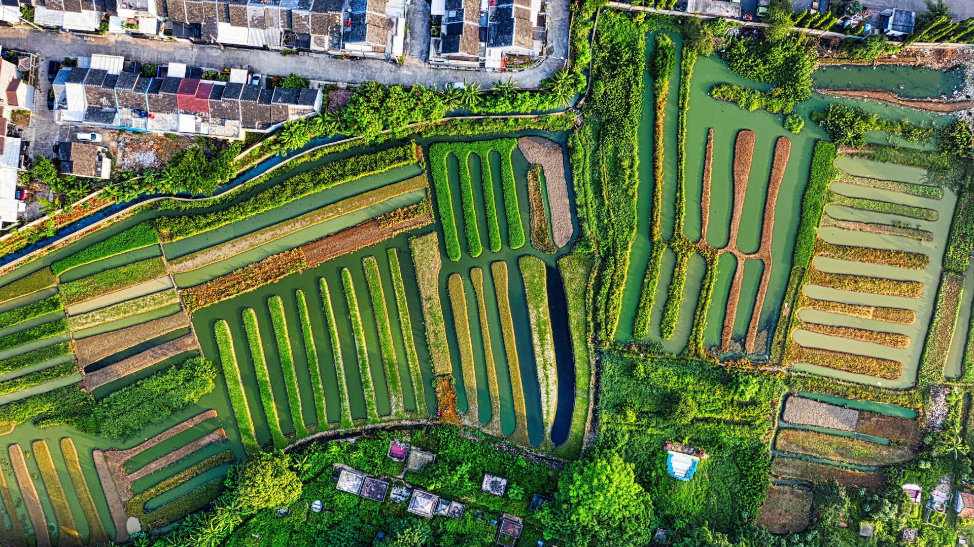 How do we report on social and community impacts alongside environmental metrics