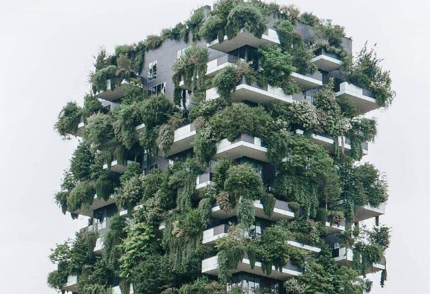 What you need to know about the new S1 and S2 ISSB Standards 🌳