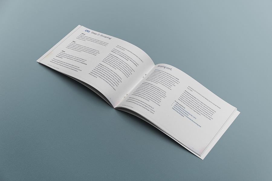 RIO_10Steps_BookMockUp