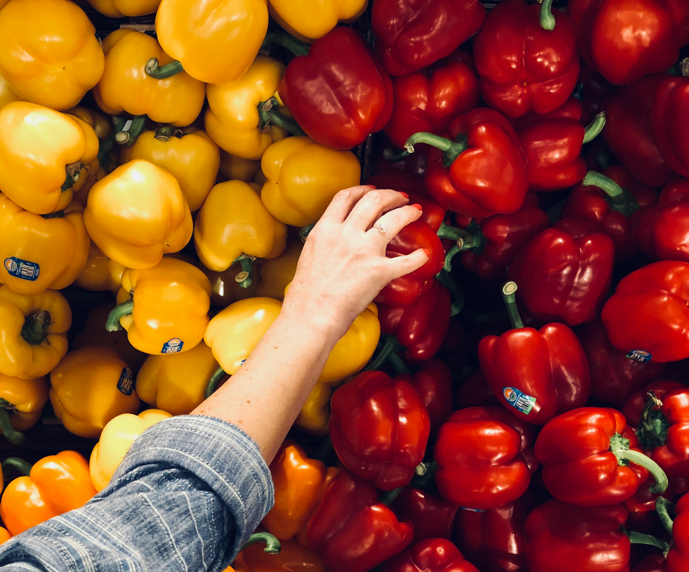 The Journey of Food eLearning Course